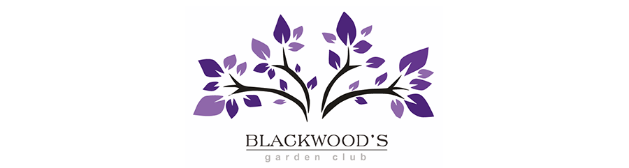Blackwood's