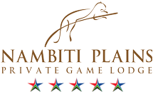 Nambiti Plains Private Game Lodge